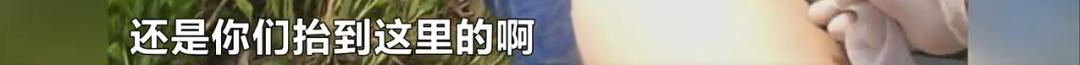DƬ
